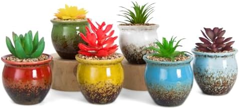 ARTKETTY 6 Pack Artificial Succulent Plants in Ceramic Pots for Home Office Decor