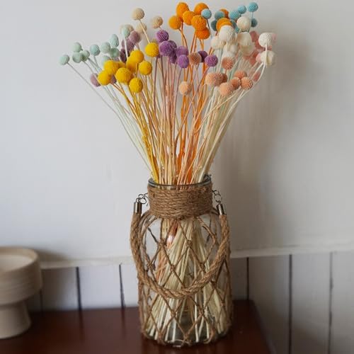 20Pcs Craspedia Billy Balls Dried Preserved Flowers for Home Wedding Decor