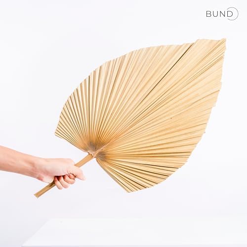 3Pcs Large Dried Palm Leaves Decor Fans Boho Wedding Table Decor