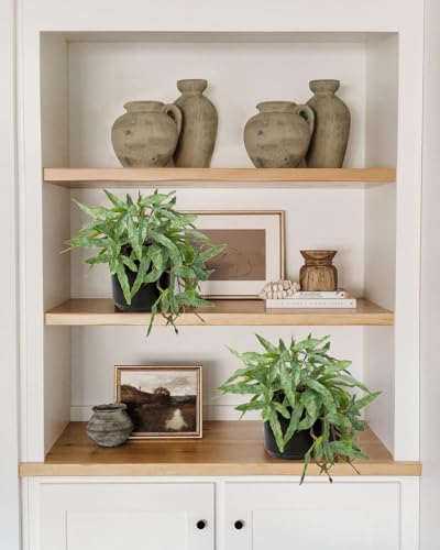Briful Artificial Fern Plant 9 Indoor 2 Pack