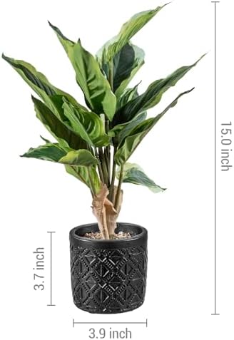 MyGift Artificial Dieffenbachia Plant in Black Concrete Pot with Geometric Design