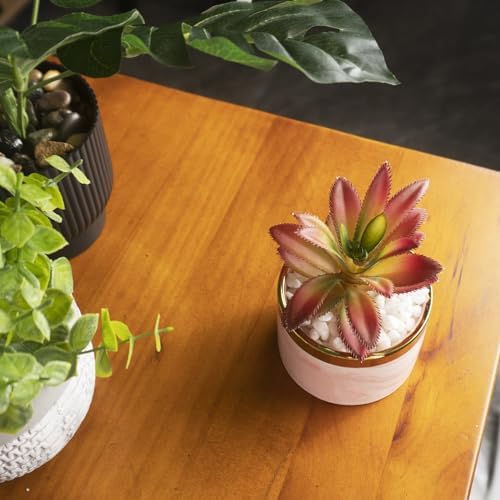 Tzhome Artificial Mini Succulent Plants with Ceramic Pots
