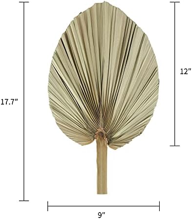 Natural Dried Palm Leaves 3 Pcs for Boho Decor