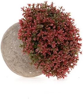 T4U Artificial Succulent Plants in Pots Set of 6