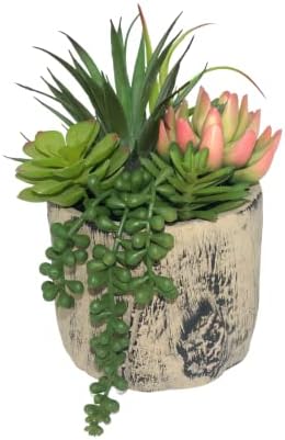 Hisow Artificial Succulent Plants in Ceramic Pots Assorted Decor