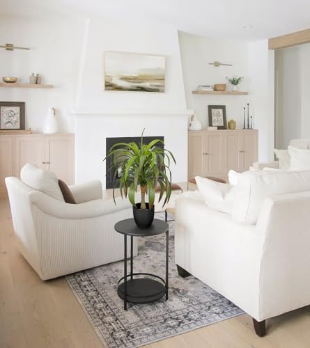 Briful Artificial Agave Plant 22 Inches Indoor Outdoor Decor