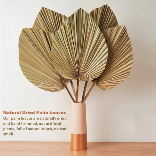 4PCS Dried Palm Leaf Decor for Vase Wedding Office Home