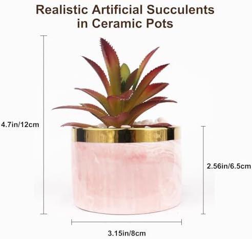 Tzhome Artificial Mini Succulent Plants with Ceramic Pots