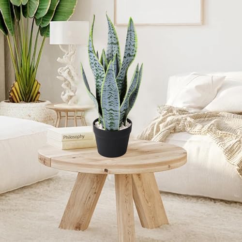 225 Inch Artificial Snake Plant in Black Pot