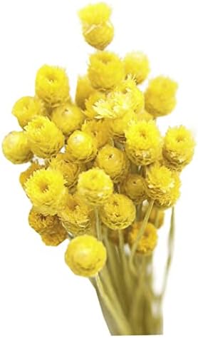 Yellow Dried Daisy Bouquet for Home Decor