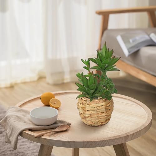10 Inch Large Artificial Succulents in Woven Pots