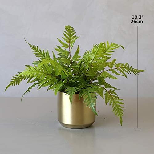 Fake Plants Mini Artificial Potted Ferns in Golden Pots for Home Decor