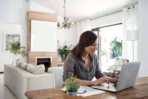 Artificial Eucalyptus Plant with Rustic Black Cement Pot for Home Office Decor