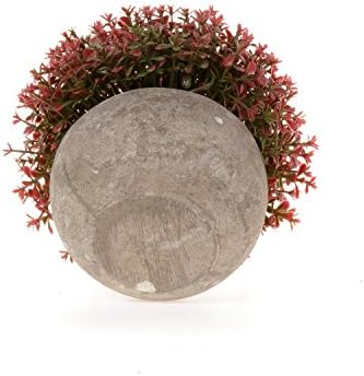 T4U Artificial Succulent Plants in Pots Set of 6