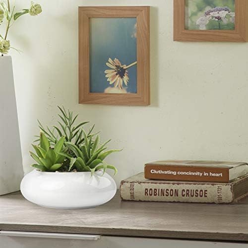 Hollyone Realistic Artificial Succulent Plants with White Ceramic Pot for Home Decor