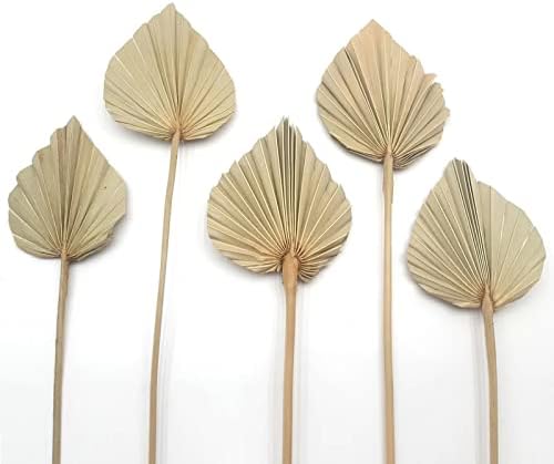 Boho Dried Palm Leaves 6 Pcs Natural Palm Plant Spears for Home Office Decor