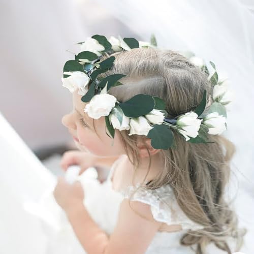 200 Pcs Real Dried Eucalyptus Leaves Natural Decor for Wedding and Party