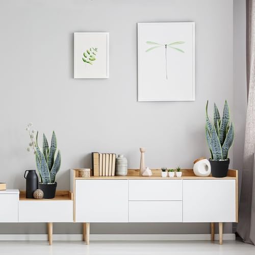 225 Inch Artificial Snake Plant in Black Pot