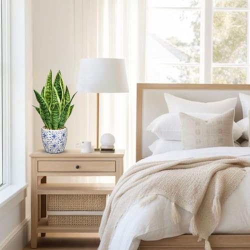 Hollyone Artificial Snake Plant with Blue Porcelain Pot