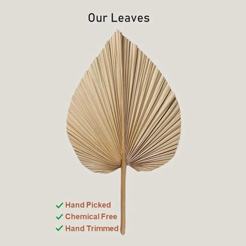 4PCS Dried Palm Leaf Decor for Vase Wedding Office Home