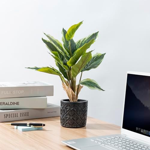 MyGift Artificial Dieffenbachia Plant in Black Concrete Pot with Geometric Design