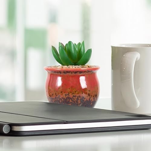 ARTKETTY 6 Pack Artificial Succulent Plants in Ceramic Pots for Home Office Decor
