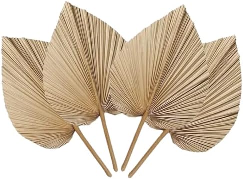 4PCS Dried Palm Leaf Decor for Vase Wedding Office Home