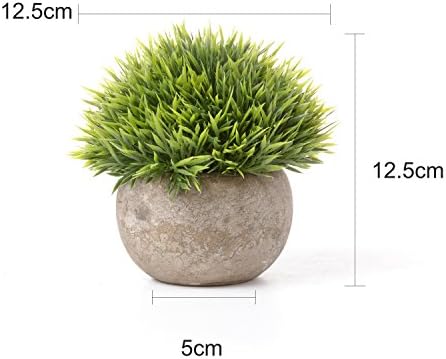 T4U Artificial Succulent Plants in Pots Set of 6