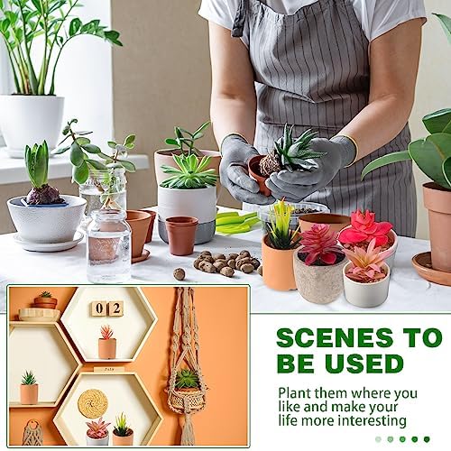 WILLBOND 38 Pcs Christmas Mini Artificial Succulents Bulk