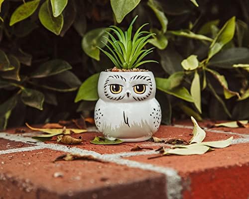 Harry Potter Hedwig 3-inch Ceramic Mini Planter with Artificial Succulent