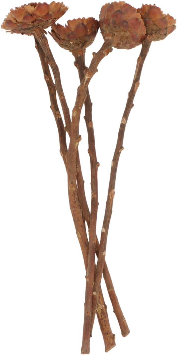 Amosfun 5Pcs Dried Sunflower Artificial Flowers for Decor