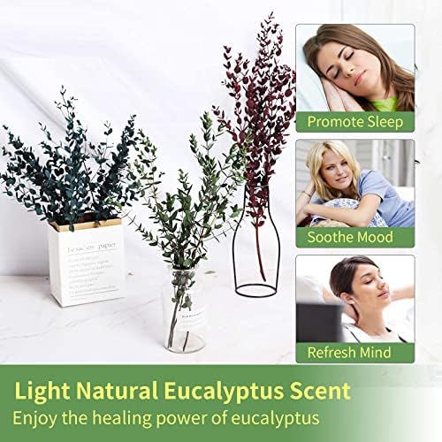 Tavkite Dried Eucalyptus Garland Stems 4 Oz Bundle 1
