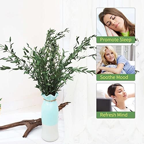 Tavkite Dried Eucalyptus Garland Stems 4 Oz Bundle