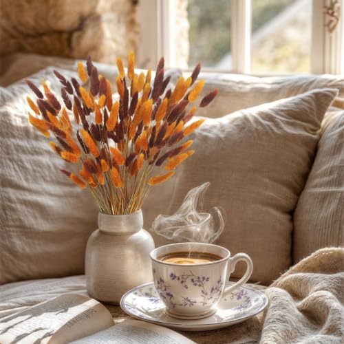 CISDUEO 120pcs Dried Bunny Tails Flowers for Boho Decor Wedding DIY