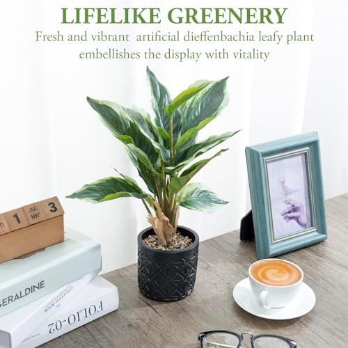 MyGift Artificial Dieffenbachia Plant in Black Concrete Pot with Geometric Design