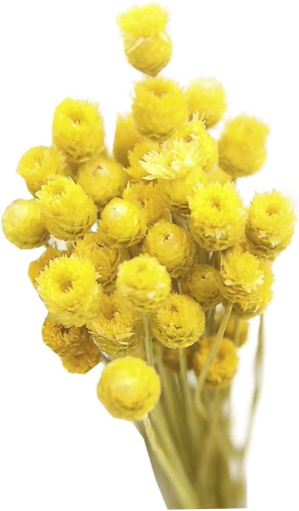 Yellow Dried Daisy Bouquet for Home Decor