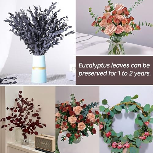 Skalago Dried Eucalyptus Leaves Garlands for Home Decor