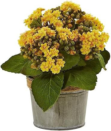Nearly Natural Kalanchoe Artificial Arrangements Set of 3