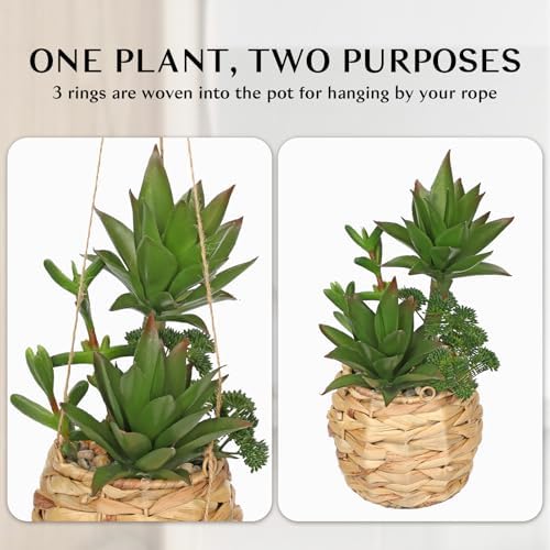 10 Inch Large Artificial Succulents in Woven Pots