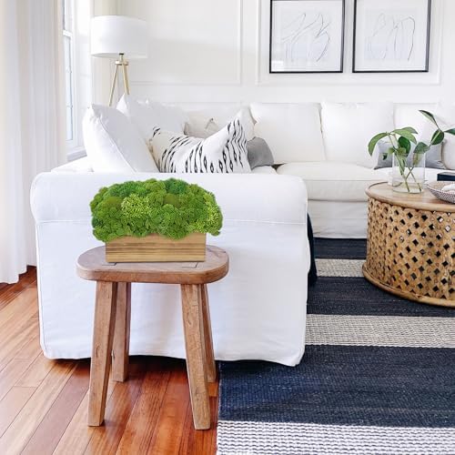 Briful Artificial Succulent Plants in Wooden Planter Pot