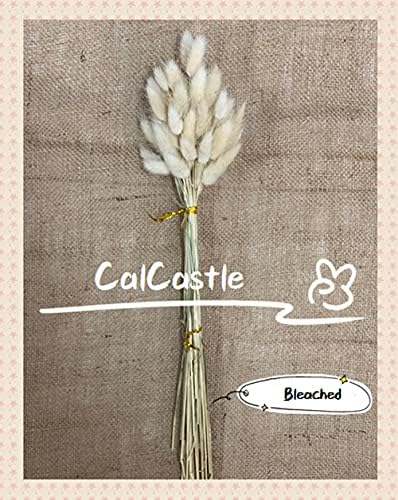 25 Inch 100 Pcs Ivory Dried Bunny Tail Artificial Flowers