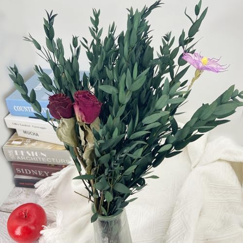 Preserved Dried Eucalyptus Greenery Stems 20 Pcs 16 Inches for Decor and Aromatherapy