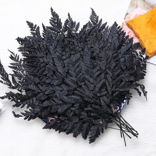 Tavkite Dried Boston Ferns 10 PCS Realistic Leaves for Wedding Decorations