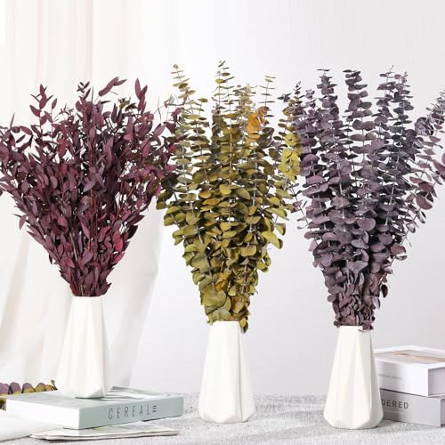 Skalago Dried Eucalyptus Leaves Garlands for Home Decor