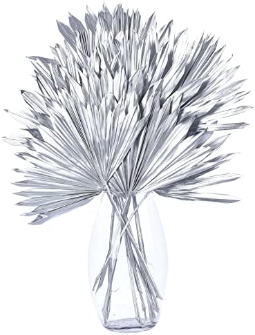 Vickerman Dried Palm Sun Spears 12 Per Bag