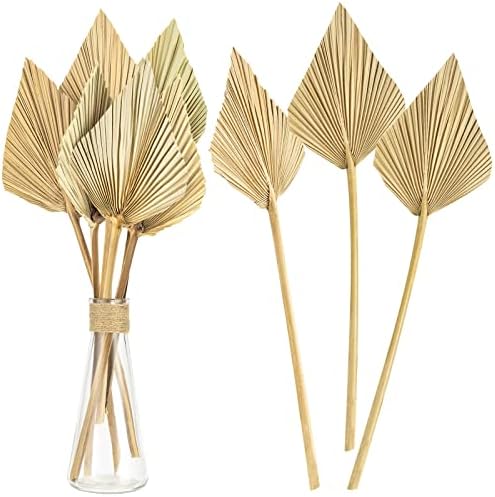 CLESDF Boho Palm Spears and Fans 16 Inch 6pcs