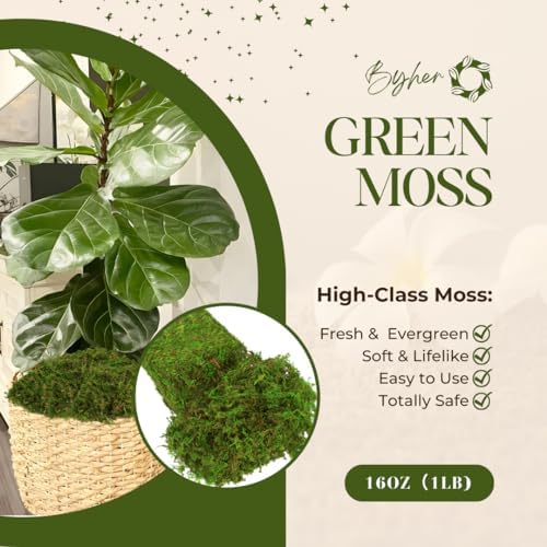 BYHER Artificial Moss for Indoor Plants 16OZ Green Faux Moss