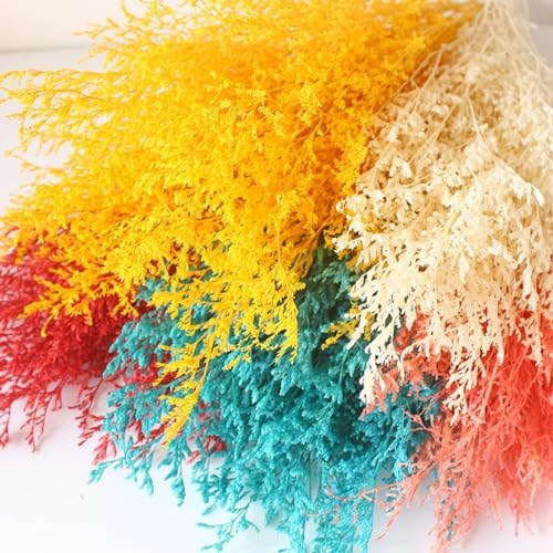Dried Flowers Bouquet Natural Caspia Bundle Floral Lavender Babys Breath Arrangements for Wedding Decor