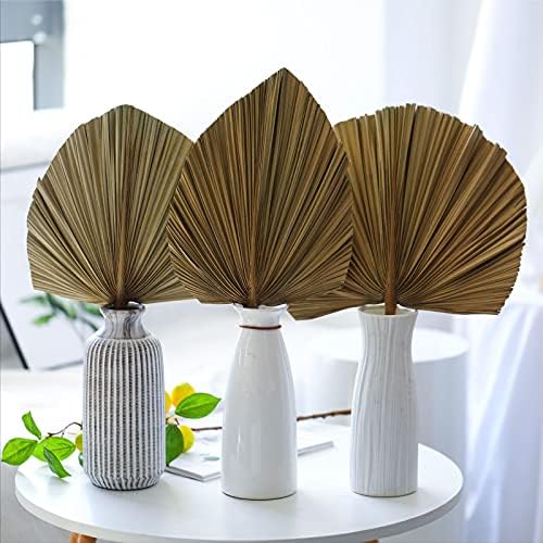 Natural Dried Palm Leaves 3 Pcs for Boho Decor