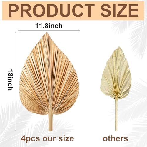 4 Pcs Large Gold Dried Palm Leaves Decor